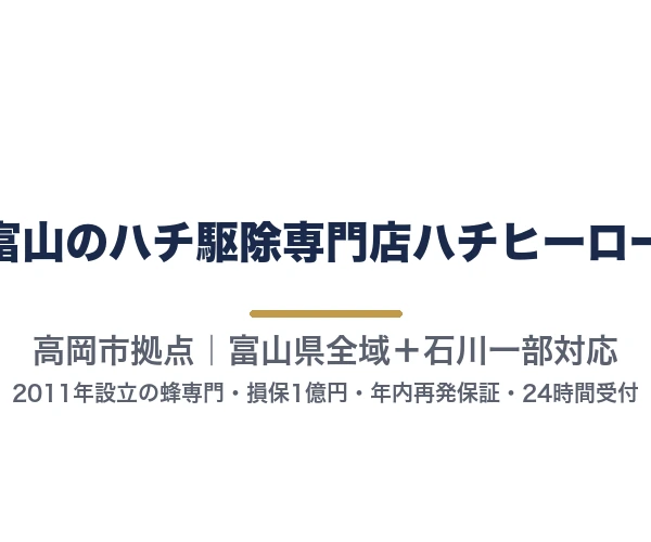 富山のハチ駆除専門店ハチヒーロー