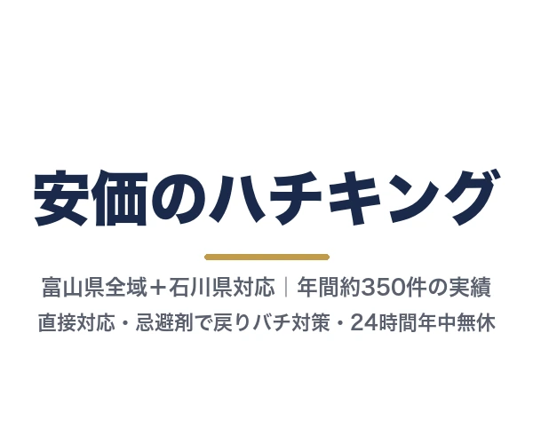 安価のハチキング