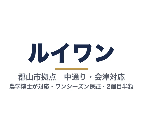 ルイワン