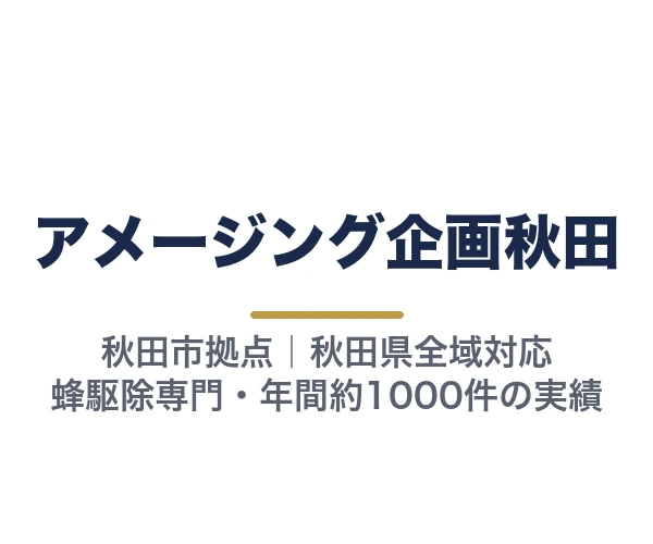 アメージング企画秋田