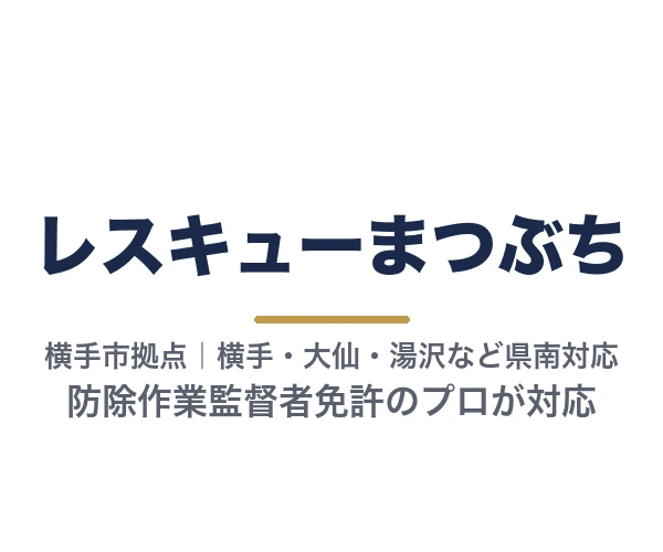 レスキューまつぶち