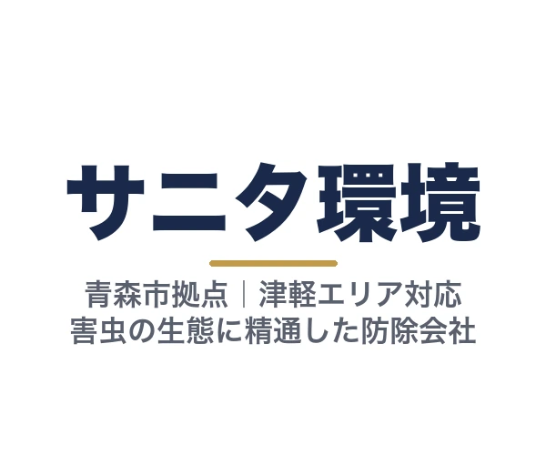 サニタ環境