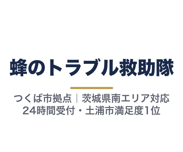蜂のトラブル救助隊