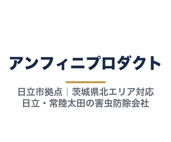 アンフィニプロダクト
